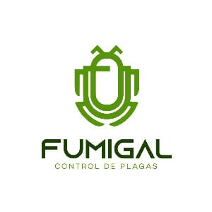 Gabriela Romero Bolio